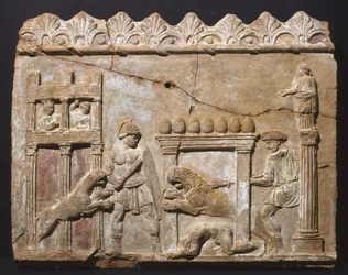 Lions and Gladiators in the Arena